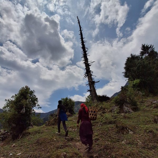 PHOTO-2026-02-21-12-44-32